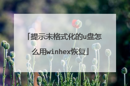 提示未格式化的u盘怎么用winhex恢复