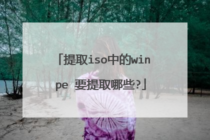提取iso中的win pe 要提取哪些?