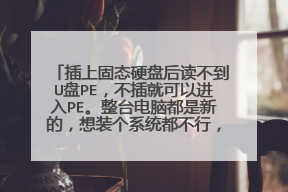 插上固态硬盘后读不到U盘PE，不插就可以进入PE。整台电脑都是新的，想装个系统都不行，请问怎么解决？