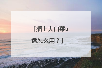 插上大白菜u盘怎么用？