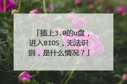 插上3.0的u盘，进入BIOS，无法识别，是什么情况？