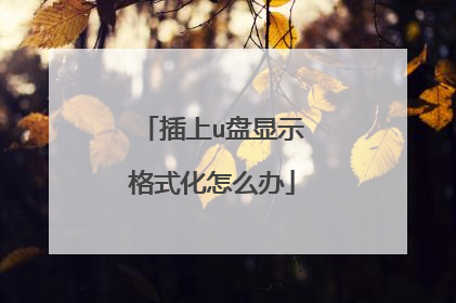 插上u盘显示格式化怎么办