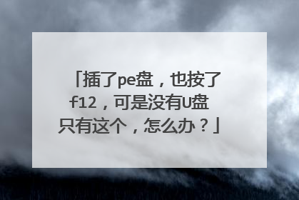 插了pe盘,也按了f12,可是没有U盘只有这个,怎么办?