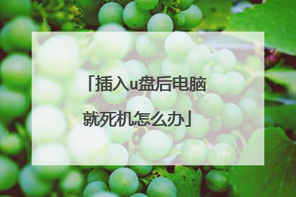 插入u盘后电脑就死机怎么办