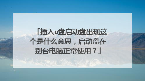 插入u盘启动盘出现这个是什么意思，启动盘在别台电脑正常使用？