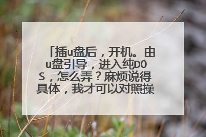 插u盘后,开机。由u盘引导,进入纯DOS,怎么弄?麻烦说得具体,我才可以对照操作。谢谢您!