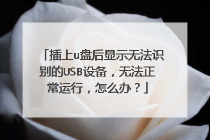 插上u盘后显示无法识别的USB设备，无法正常运行，怎么办？