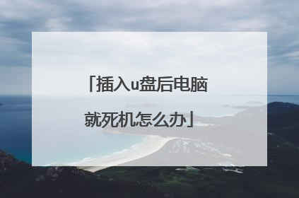 插入u盘后电脑就死机怎么办
