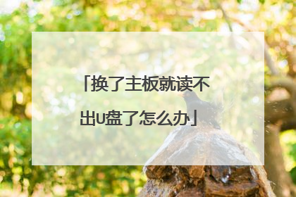 换了主板就读不出U盘了怎么办