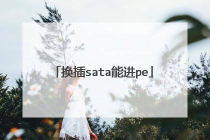 换插sata能进pe