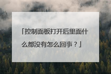 控制面板打开后里面什么都没有怎么回事?