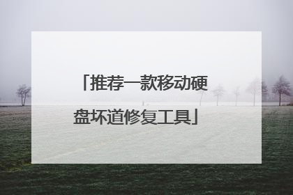 推荐一款移动硬盘坏道修复工具