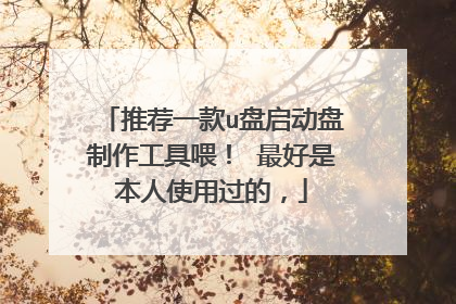 推荐一款u盘启动盘制作工具喂! 最好是本人使用过的,