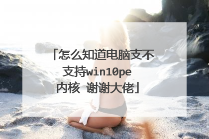 怎么知道电脑支不支持win10pe内核 谢谢大佬