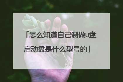 怎么知道自己制做U盘启动盘是什么型号的