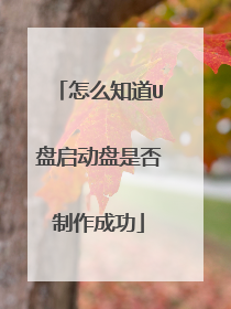 怎么知道U盘启动盘是否制作成功