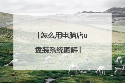 怎么用电脑店u盘装系统图解