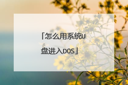 怎么用系统U盘进入DOS