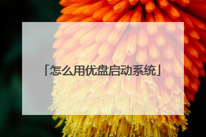 怎么用优盘启动系统