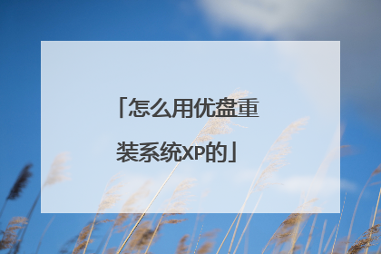 怎么用优盘重装系统XP的