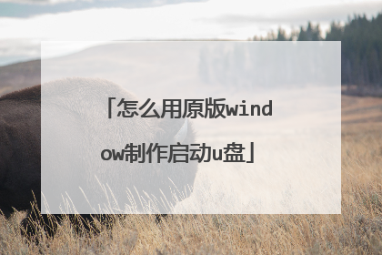 怎么用原版window制作启动u盘