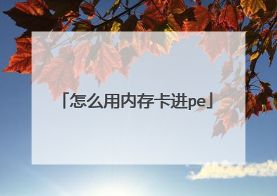 怎么用内存卡进pe