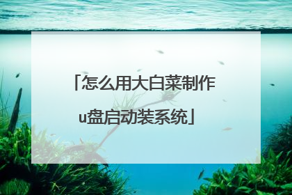 怎么用大白菜制作u盘启动装系统