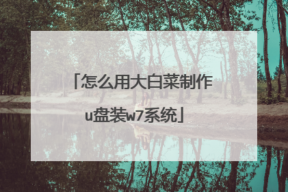 怎么用大白菜制作u盘装w7系统