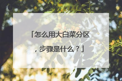 怎么用大白菜分区,步骤是什么?