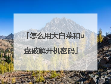 怎么用大白菜和u盘破解开机密码
