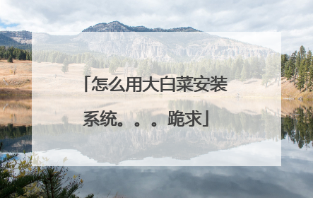 怎么用大白菜安装系统。。。跪求