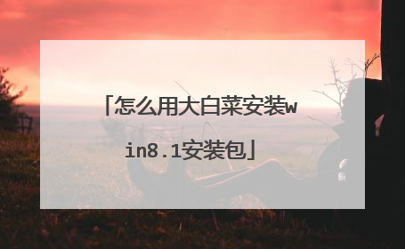 怎么用大白菜安装win8.1安装包