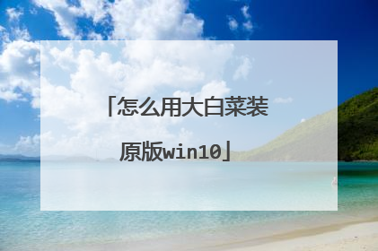 怎么用大白菜装原版win10