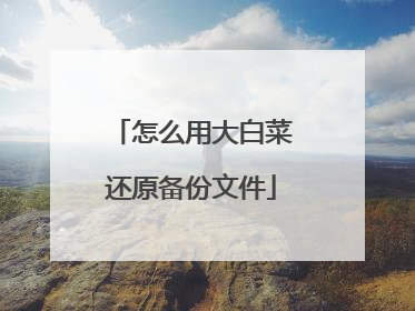 怎么用大白菜还原备份文件