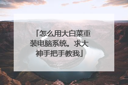 怎么用大白菜重装电脑系统。求大神手把手教我