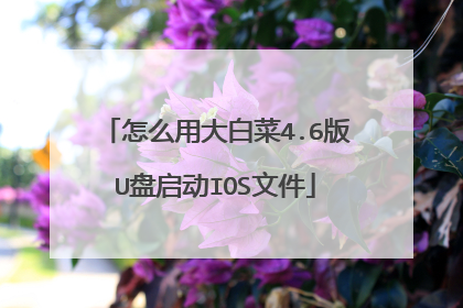 怎么用大白菜4.6版U盘启动IOS文件