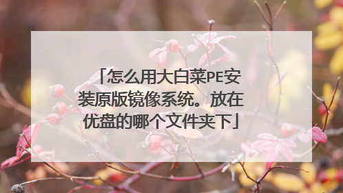 怎么用大白菜PE安装原版镜像系统。放在优盘的哪个文件夹下