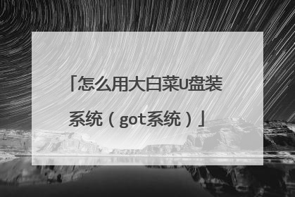 怎么用大白菜U盘装系统(got系统)