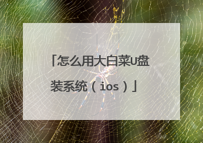 怎么用大白菜U盘装系统(ios)