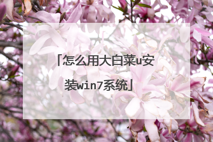 怎么用大白菜u安装win7系统