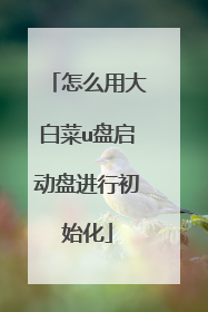 怎么用大白菜u盘启动盘进行初始化
