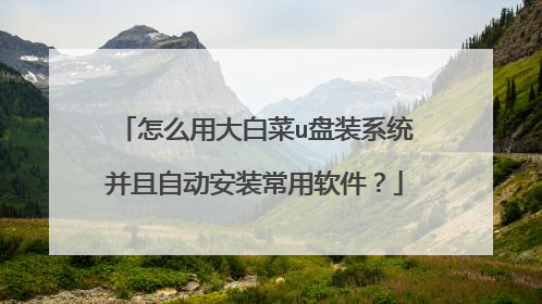 怎么用大白菜u盘装系统并且自动安装常用软件?