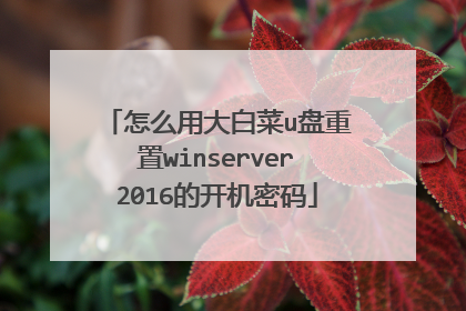 怎么用大白菜u盘重置winserver2016的开机密码
