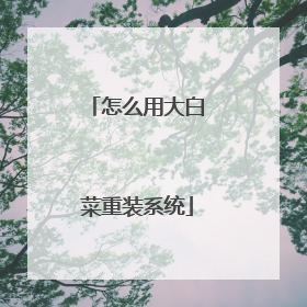 怎么用大白菜重装系统
