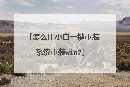 怎么用小白一键重装系统重装win7