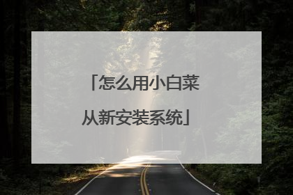 怎么用小白菜从新安装系统