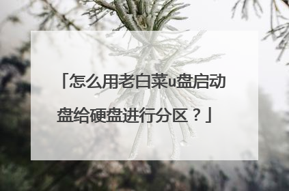 怎么用老白菜u盘启动盘给硬盘进行分区?