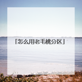 怎么用老毛桃分区