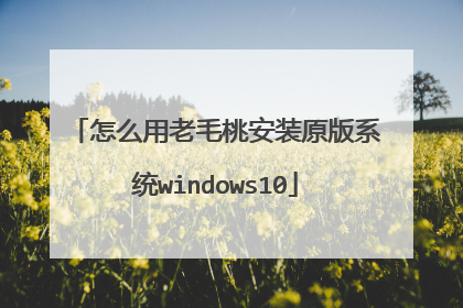 怎么用老毛桃安装原版系统windows10