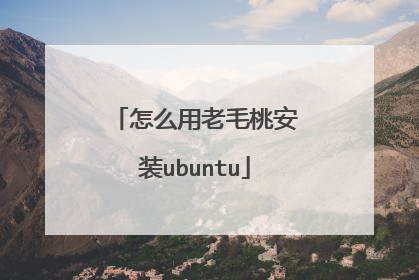 怎么用老毛桃安装ubuntu